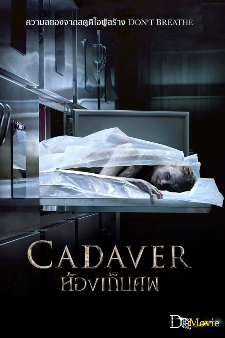 ดูหนังใหม่ Cadaver